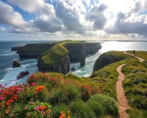 Küstenwanderungen in Cornwall, England