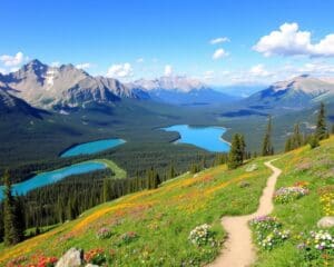 Nationalparks erkunden in Alberta, Kanada