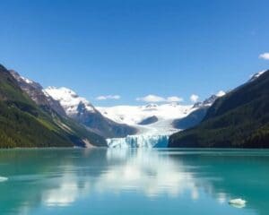 Naturwunder im Glacier-Bay-Nationalpark, Alaska