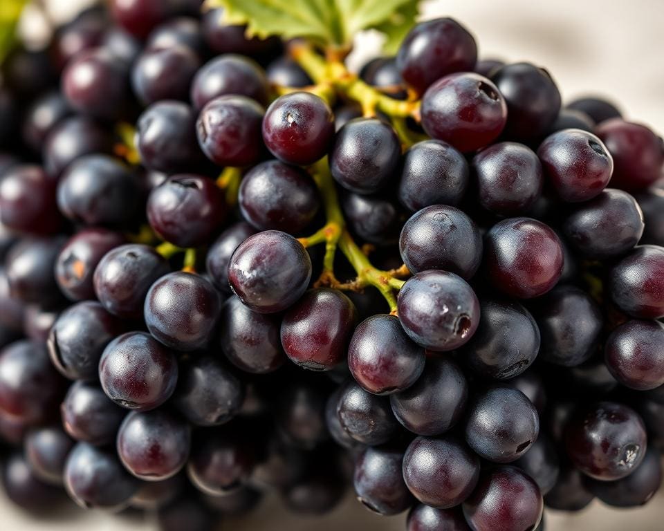 Wie gesund sind Weintrauben mit Kernen?